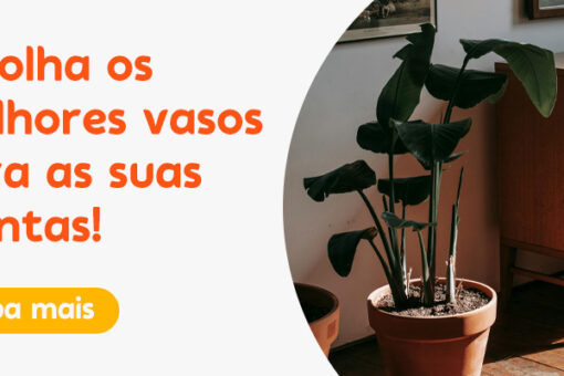 Escolha os melhores vasos para as suas plantas